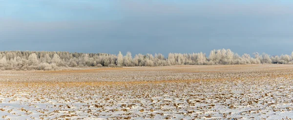 冬季农田风景 雪下山水 背景为树木 冰雪覆盖的冬季风景覆盖了乡村 案文的篇幅 — 图库照片
