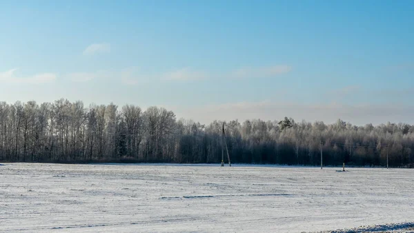 Vinter Jordbrukslandskap Landskap Snö Med Träd Bakgrunden Vinterlandskap Med Snötäckt — Stockfoto