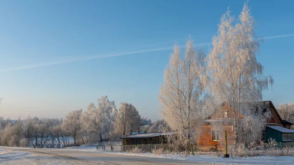 Village House Birch Trees Hoarfrost Winter Daytime Snow Covered Field — Stock Photo, Image