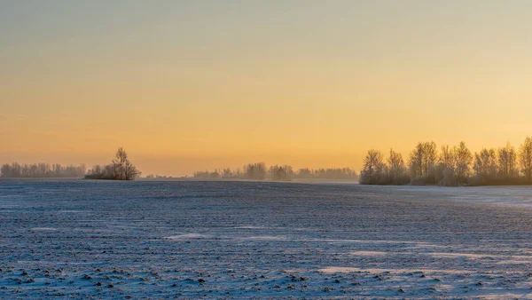 Paisagem Inverno Natureza Neve Com Sol Campo Árvores Pôr Sol Fotos De Bancos De Imagens