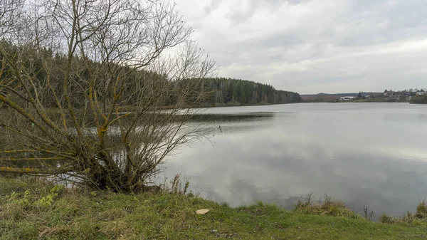 Margem Lago Florestal Nuvens Cinzentas Árvores Refletidas Simetricamente Água Panorama — Fotografia de Stock