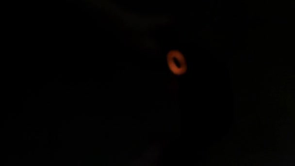 Rosa, lila och orange hår band på en svart bakgrund — Stockvideo