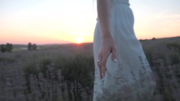 Hand Young Woman Wearing White Dress Tenderly Touching Lavender Flowers — Video Stock