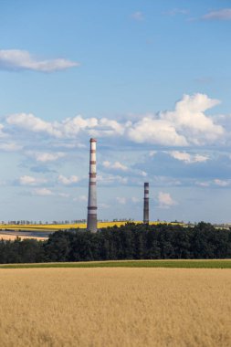 Önünde buğday tarlası ve arka planında açık gökyüzü olan bir termik santral manzarası. Yüksek kalite fotoğraf