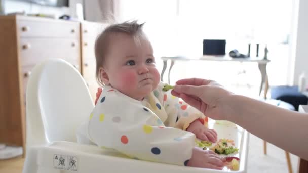 Bebé niña está revisando la cena mientras está sentado en una trona blanca. — Vídeo de stock