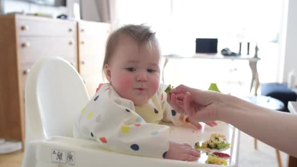 The hand of the mother who is showing broccoli to her 7-month caucasian daughter — kuvapankkivideo