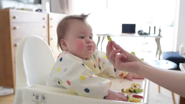De hand van de moeder die broccoli laat zien aan haar 7 maanden Kaukasische dochter. — Stockvideo