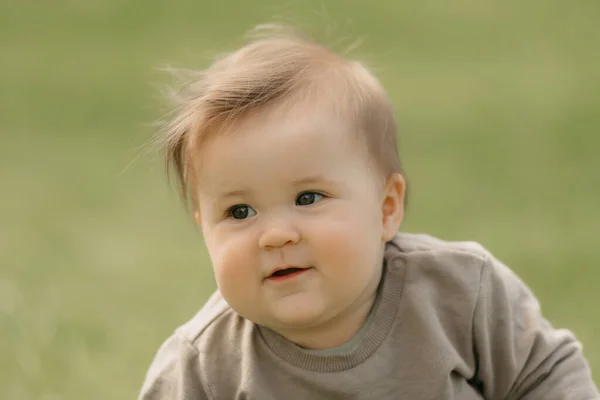 牧草地で遊んでいる7ヶ月の子供の肖像画. — ストック写真