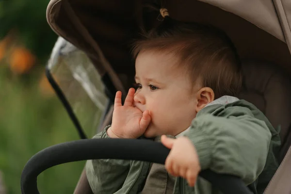 A close portrait from the side of a female toddler who is putting her fingers in her mouth in the stroller. A young girl in a raincoat with open eyes is in her baby carriage in a park at noon.