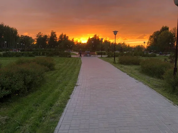 夏日的夕阳西下 公园一片寂静 — 图库照片