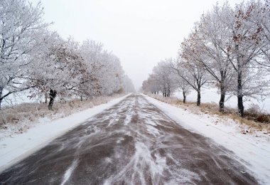 Kış yolu ve kırsal kesimdeki ağaçlar karla kaplı.