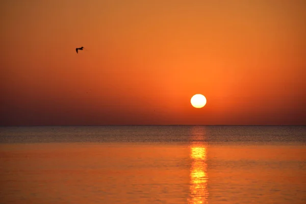 Πρωί Ήλιος Ζωγράφισε Τον Ουρανό Και Θάλασσα Πορτοκαλί — Φωτογραφία Αρχείου