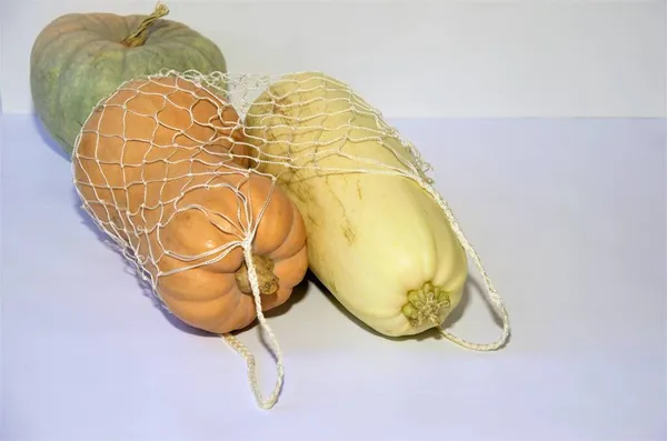 白色背景的柳条状格子中的蔬菜、胡瓜和南瓜 — 图库照片