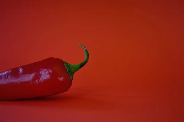kırmızı arkaplanda kırmızı biber, minimalizm