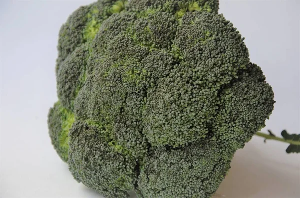 Repolho de brócolis perto no fundo branco — Fotografia de Stock