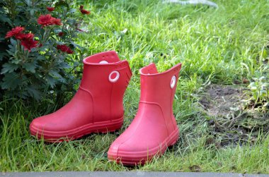 Çiçeklerin yanındaki bahçede kırmızı lastik çizmeler.