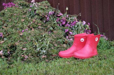 Bahçedeki biçilmiş çimlerin yanında lastik botlar.