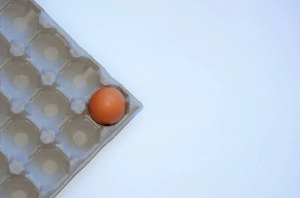 Un uovo marrone su un pacchetto di carta per uova su sfondo bianco, minimalismo — Foto Stock