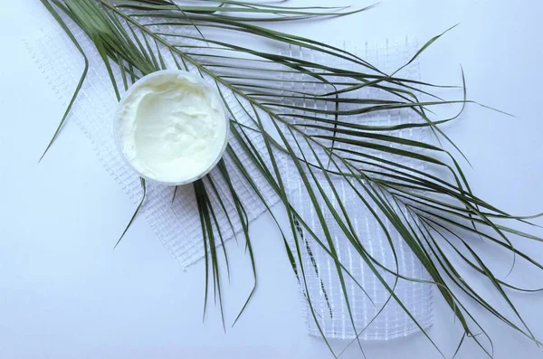 Yeşil yapraklı bir kavanozda yüz ve vücut kremi.