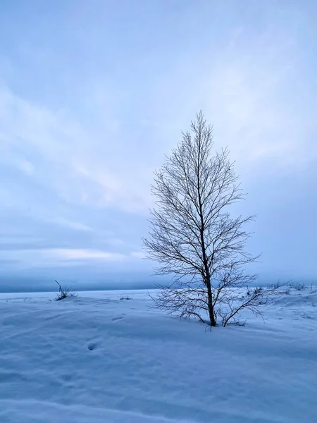 De kust is bedekt met ijs op een winterdag. — Stockfoto