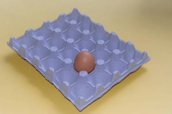 Jedno hnědé vejce v balení s vejci, minimalismus — Stock fotografie