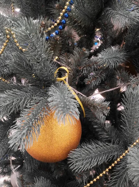 Palla d'oro su un ramo di un abete rosso blu, il concetto del nuovo anno e Natale — Foto Stock
