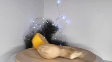 Dokunulmazlık içeceği hazırlamak için limon ve zencefil