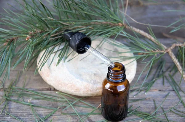 Glass bottle of essential oil with a dropper on a stone with a wooden background with pine branch and cones — Photo