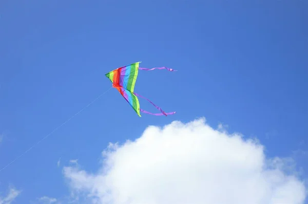 Mavi gökyüzünde uçan renkli uçurtma