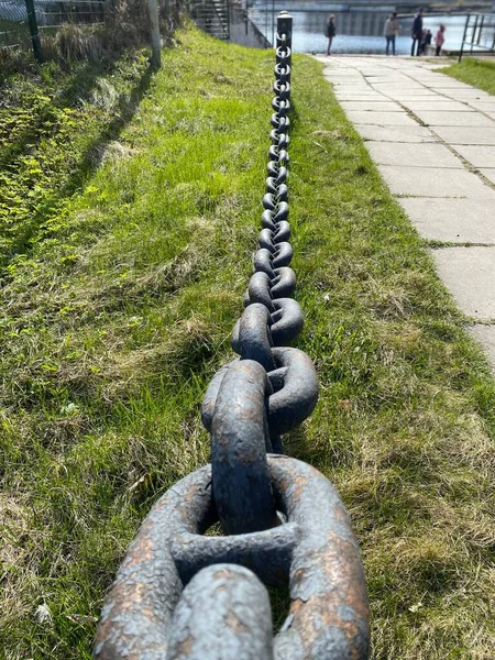 Çimenlerin arka planında büyük demir zincir yakın plan