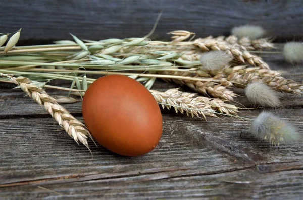 Un uovo di pollo marrone giace su piume e spighe di grano, segale — Foto Stock