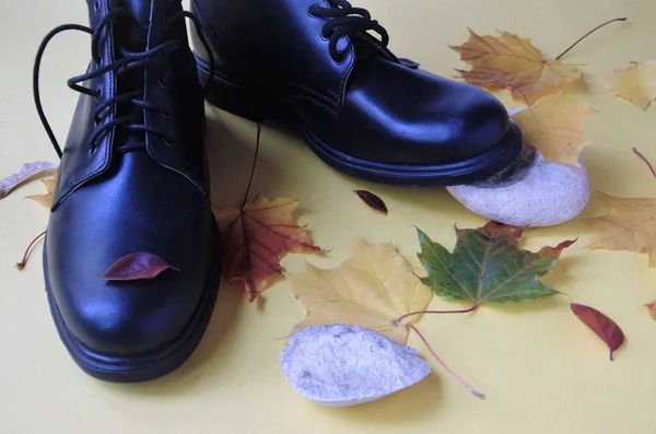 Mens black shoes with autumn leaves, autumn shoes concept