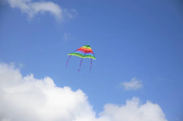 Kleurrijke vlieger vliegen in de blauwe lucht — Stockfoto