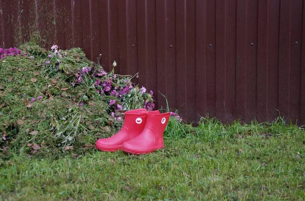 Gumové boty vedle hromady sklizené trávy v zahradě — Stock fotografie
