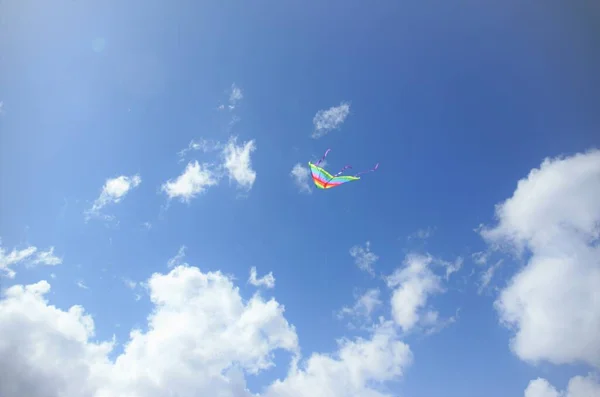 Pipa colorida voando no céu azul — Fotografia de Stock