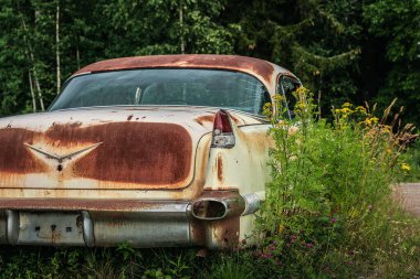 50 'lerden kalma paslı ve klasik bir araba. Soluk sarı bir renkte. Terk edilmiş ve İsveç kırsalında paslanmaya ve çürümeye terk edilmiş.