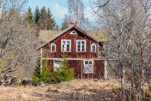 Casa Velha Campo Sueco Abandonada Coberta Pela Natureza — Fotografia de Stock