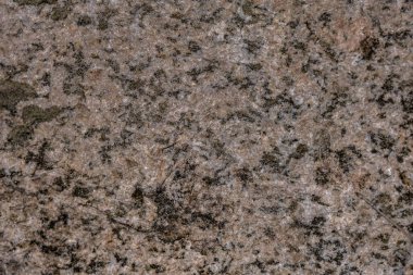 Güneş ışığında siyah beyaz benekli kayanın arkaplan dokusu