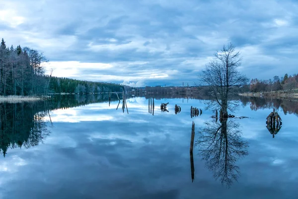 스웨덴의 잔잔하고 평화롭고 이보이고 물위에 나무에서 유물들 — 스톡 사진