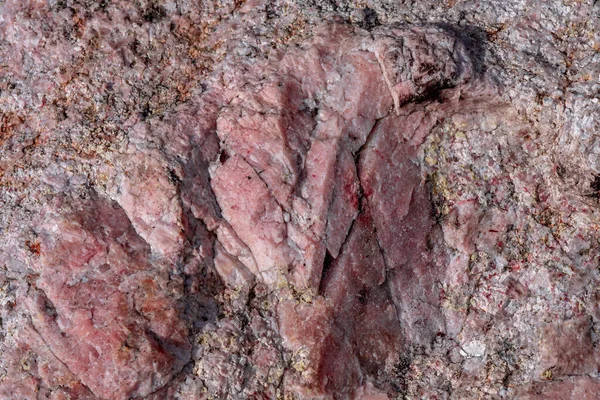 Detallado Primer Plano Una Roca Cuarzo Rosa Crudo Luz Del — Foto de Stock