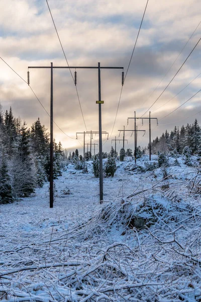 Zwei Hochspannungsleitungen Führen Durch Einen Weißen Winterwald Schweden Mit Etwas — Stockfoto