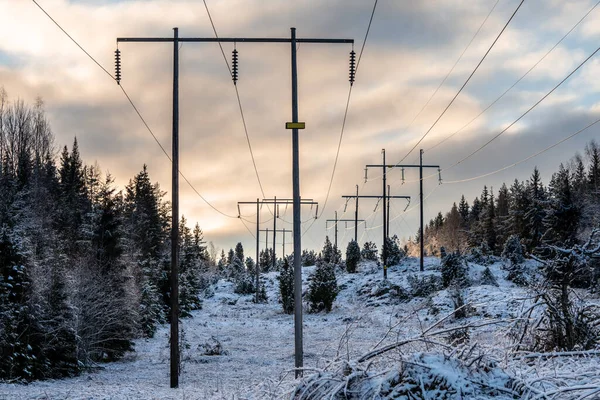 Kettős Nagyfeszültségű Elektromos Vezetékek Áthaladó Fehér Téli Erdő Svédországban Némi — Stock Fotó