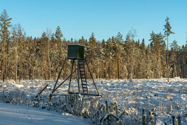 Jagdturm Ende Eines Schneebedeckten Abholzungsgebietes Schweden Hintergrund Scheint Die Sonne — Stockfoto