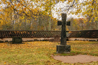 İsveç 'in güneyindeki Skane' deki güzel yeşil kayın ormanı. Yeşiller yemyeşil ağaçlar ve orman tabanı turuncu ve kırmızı yapraklarla dolu.