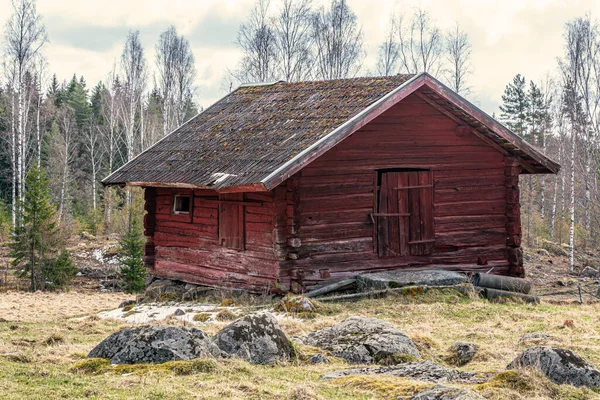 Bella Faggeta Verde Skane Nel Sud Della Svezia Con Alberi — Foto Stock