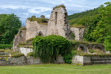 İsveç, Alvastra 'da bulunan bir ortaçağ manastırı ya da manastırı harabesi. Güzel yaz güneşinde, yemyeşil ağaçlar