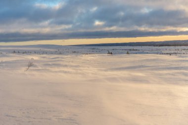 İsveç 'in kuzeyindeki dağlık arazide, akşam güneşinin sarı ışığında rüzgarda esen kar.