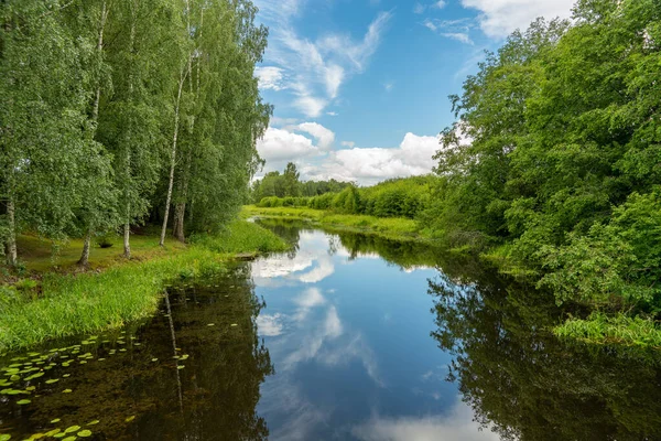 Piękny Letni Widok Spokojną Rzekę Bujną Zielenią Drzew Wzdłuż Brzegu — Zdjęcie stockowe