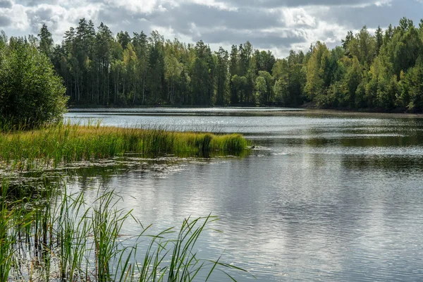 햇살이 내리쬐는 스웨덴 의작은 호수와 나무에둘러 — 스톡 사진