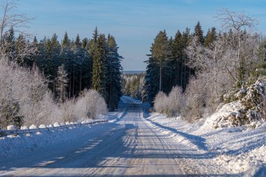 İsveç kırsalında, kar ve buzla kaplı, güneşli bir kış manzarası. Parlak gün ışığında bir çam ormanından geçerken